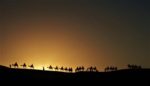 夜明けのキャラバン隊
